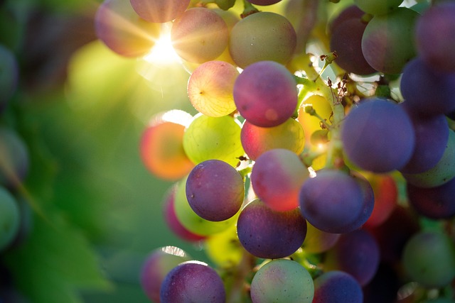 raisins soleil